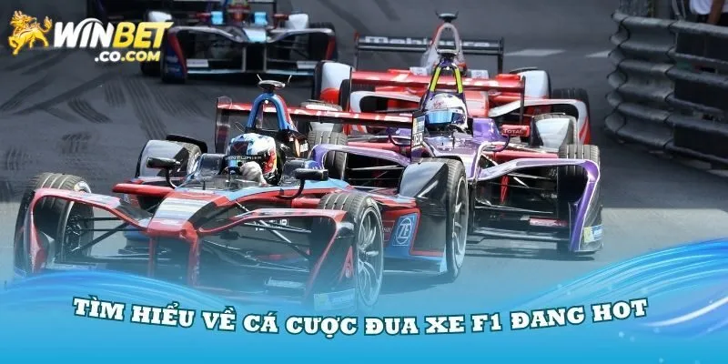 Giới thiệu về giải đua xe F1 hấp dẫn