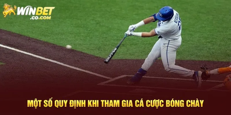 Chiến thuật cá cược bóng chày siêu dễ