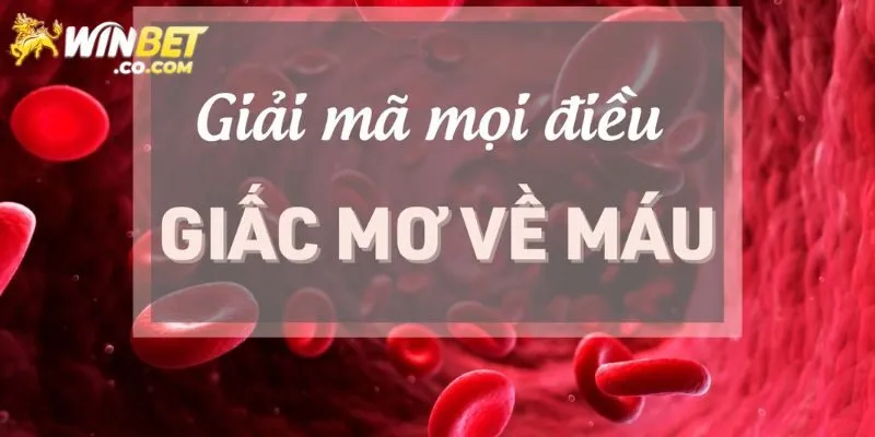 Chuyên gia giải mã nằm mơ thấy máu