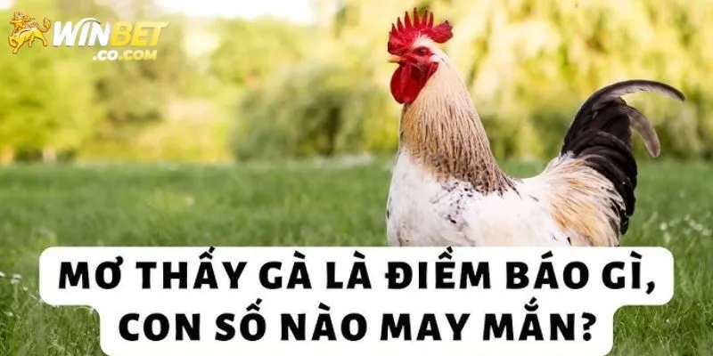 Ý nghĩa chung khi mơ thấy gà